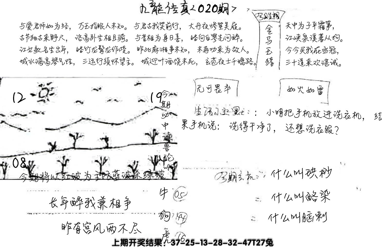 图片加载中