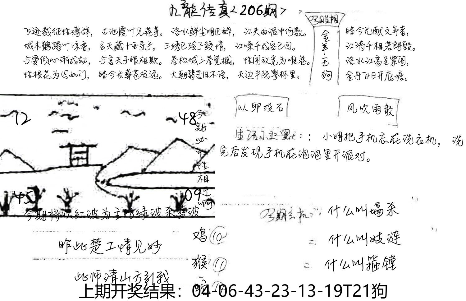 图片加载中