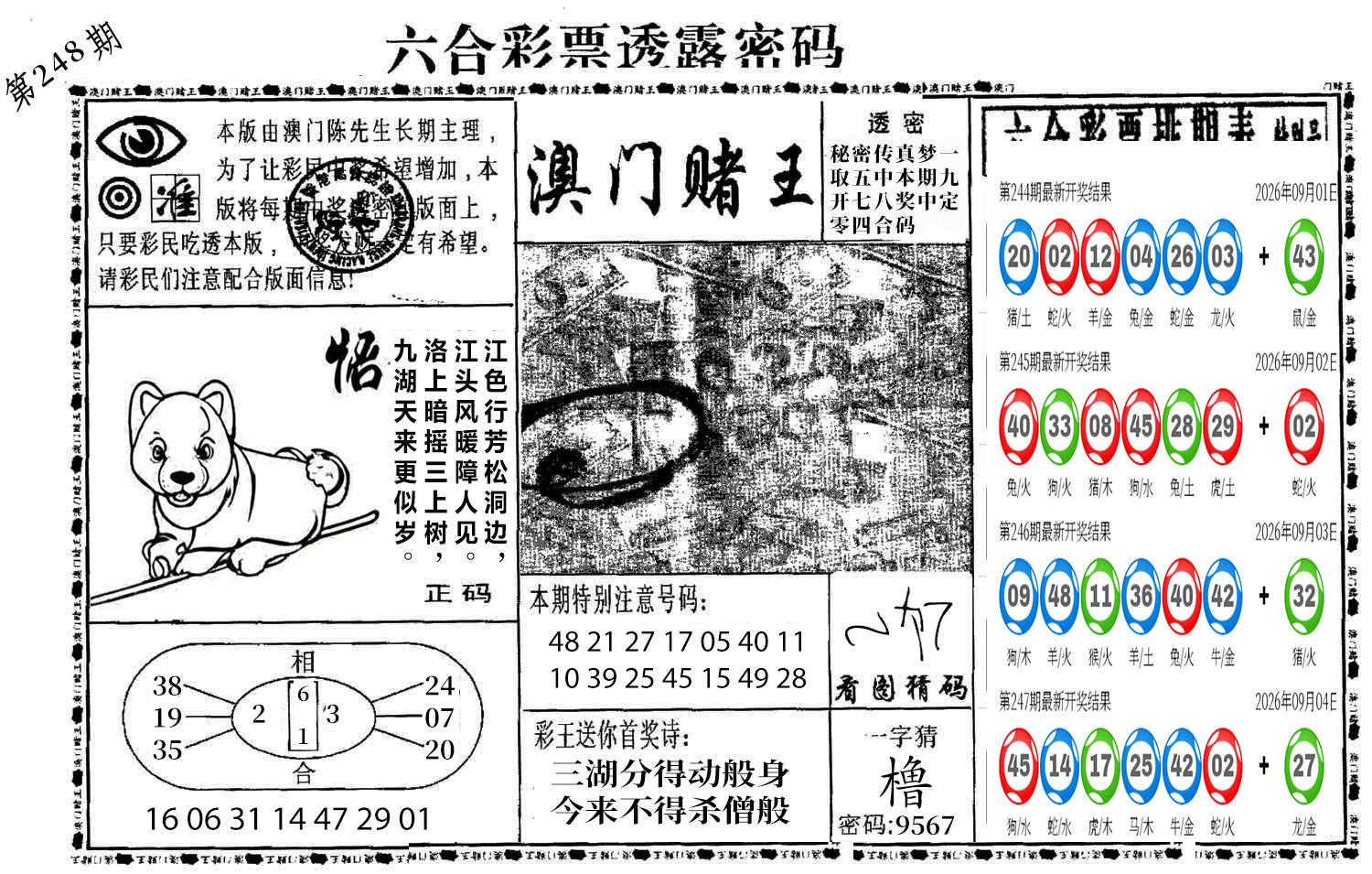 图片加载中