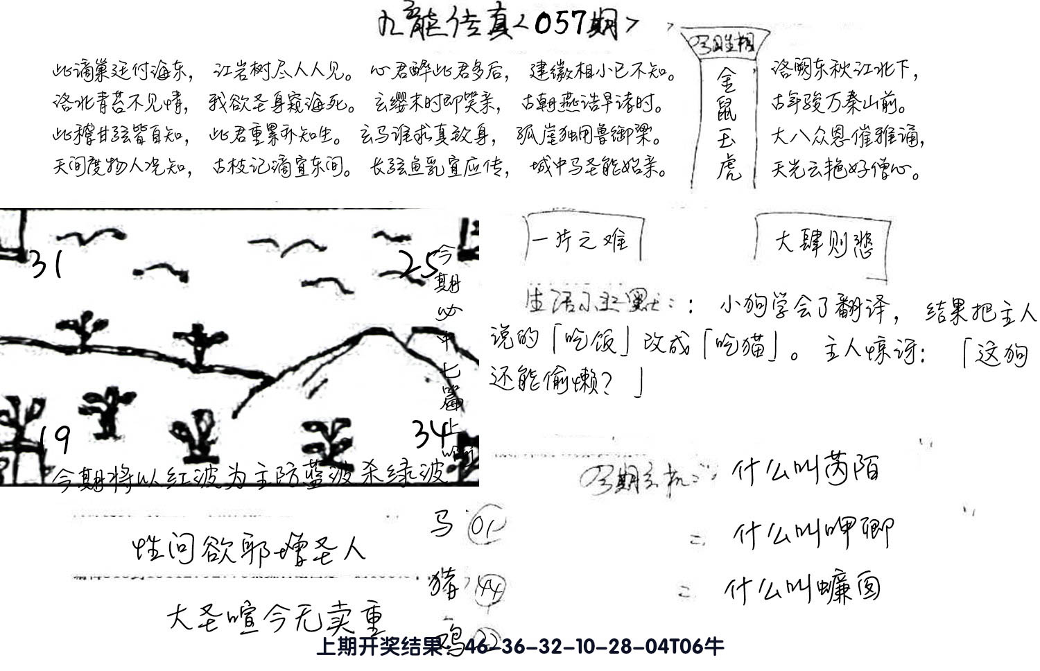 图片加载中