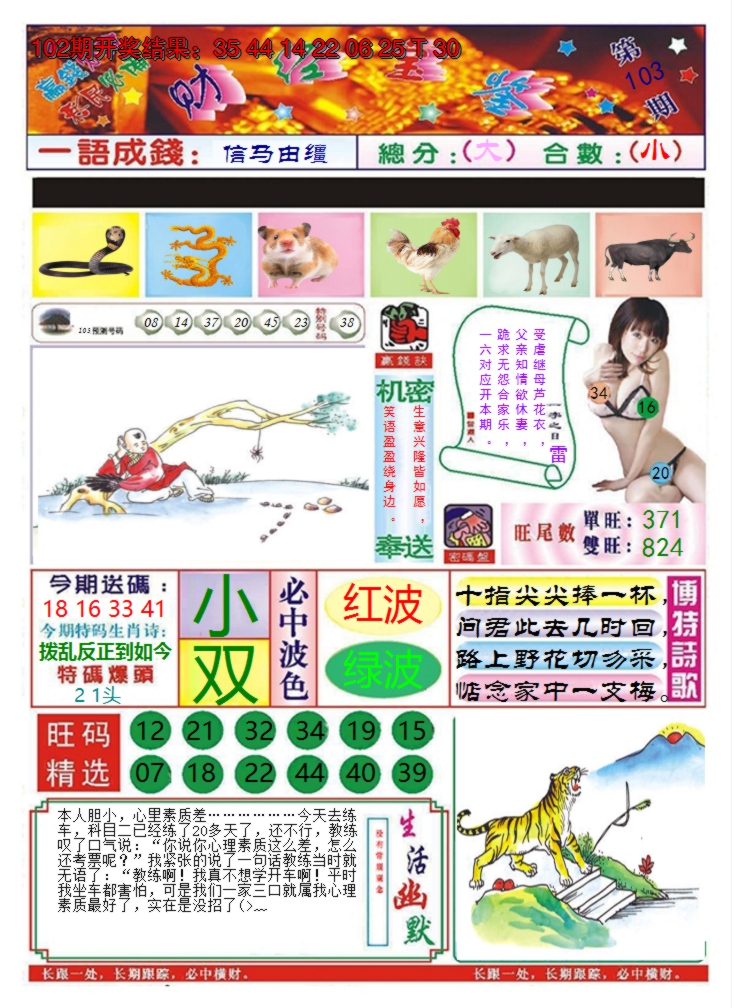 图片加载中