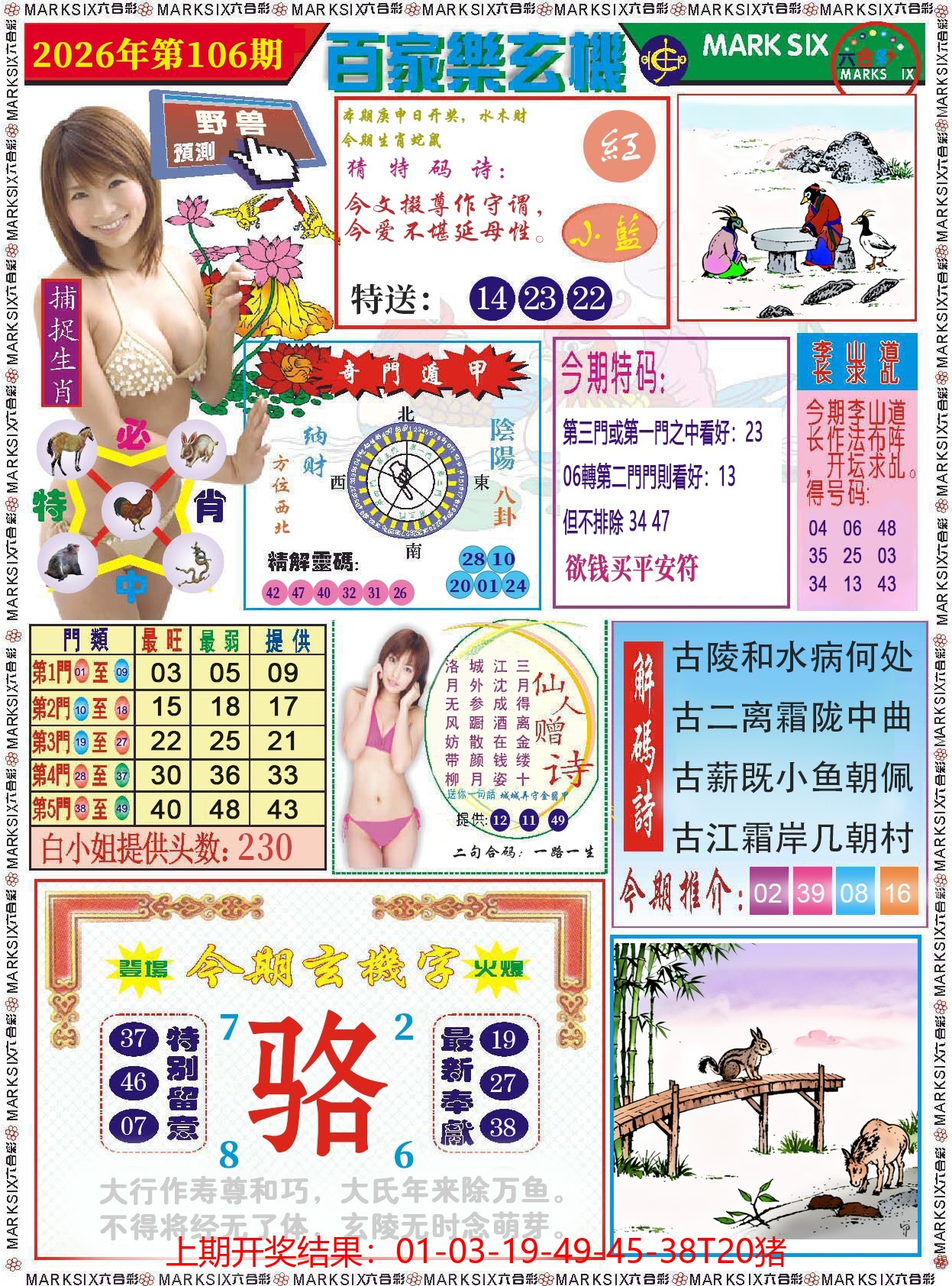 图片加载中