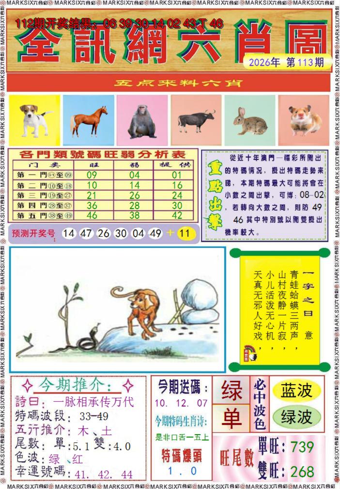图片加载中