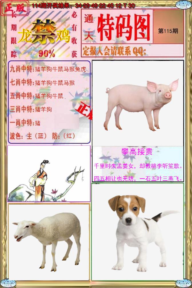 图片加载中