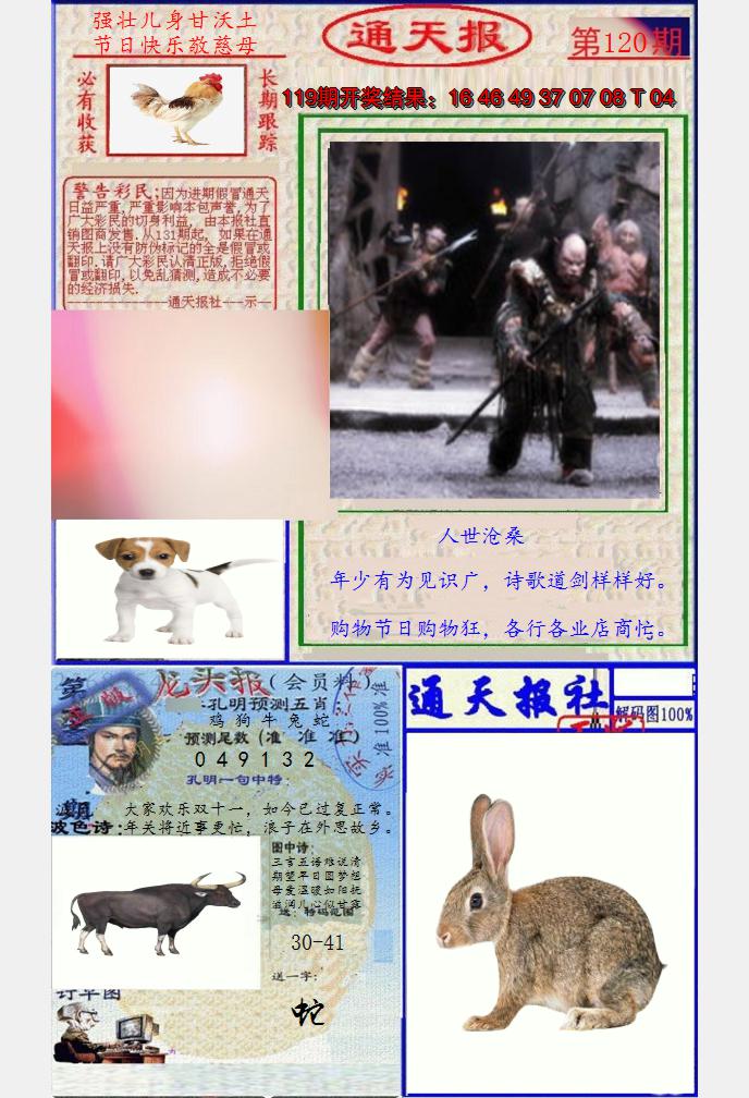图片加载中