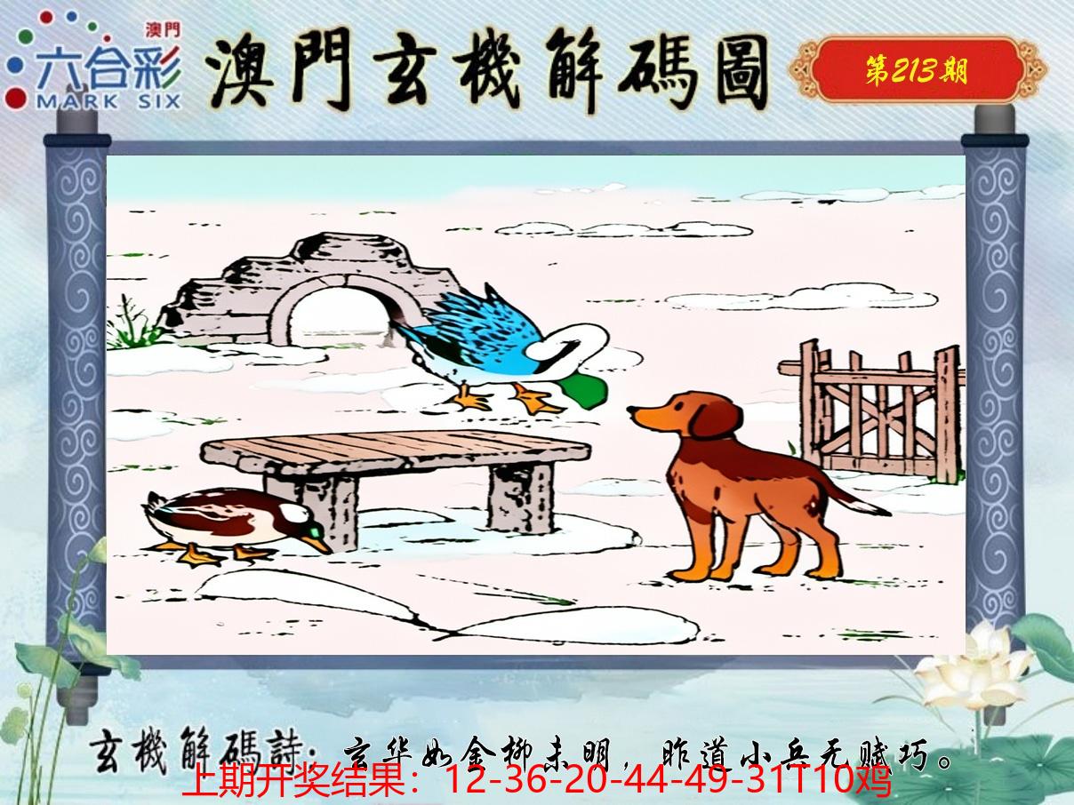 图片加载中