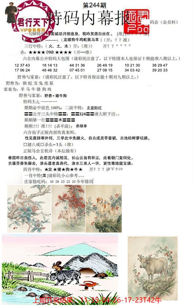 图片加载中