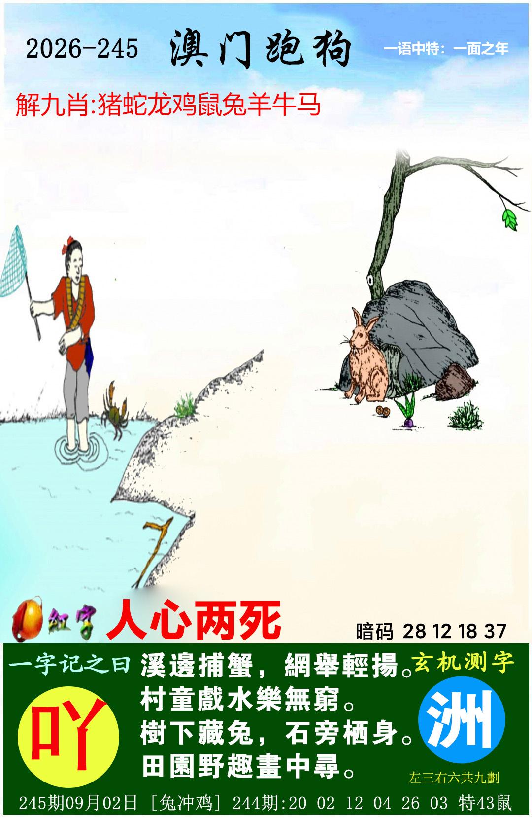 图片加载中