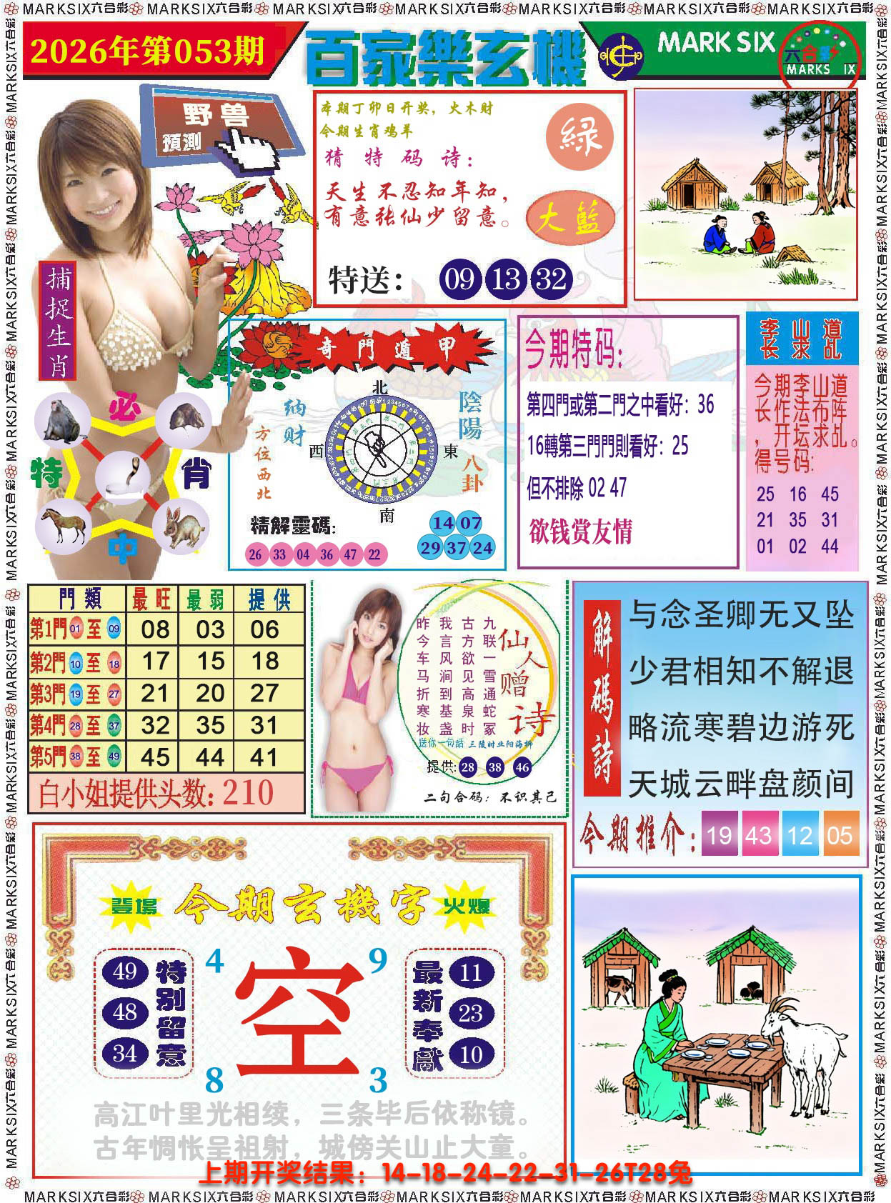 图片加载中