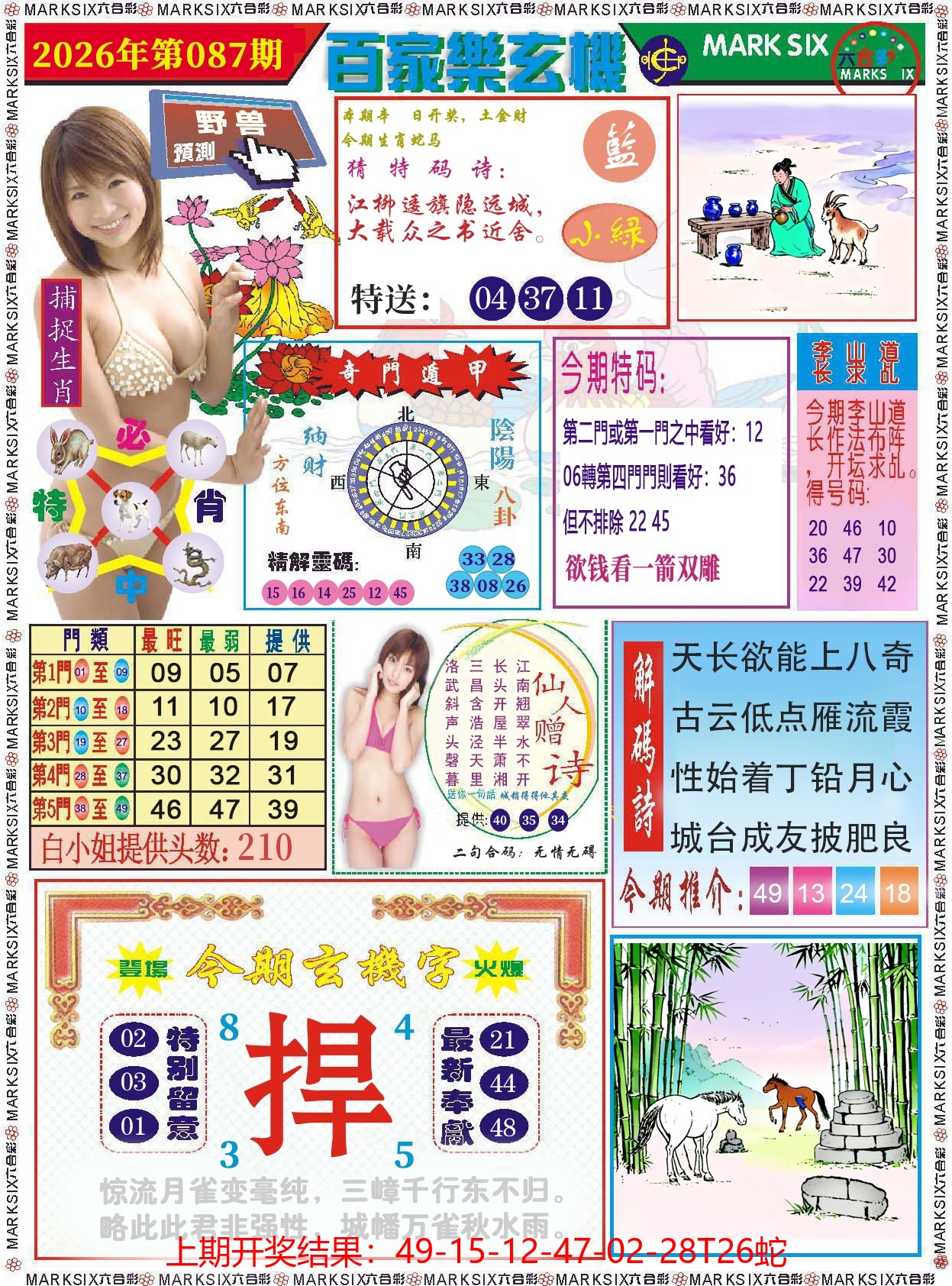 图片加载中