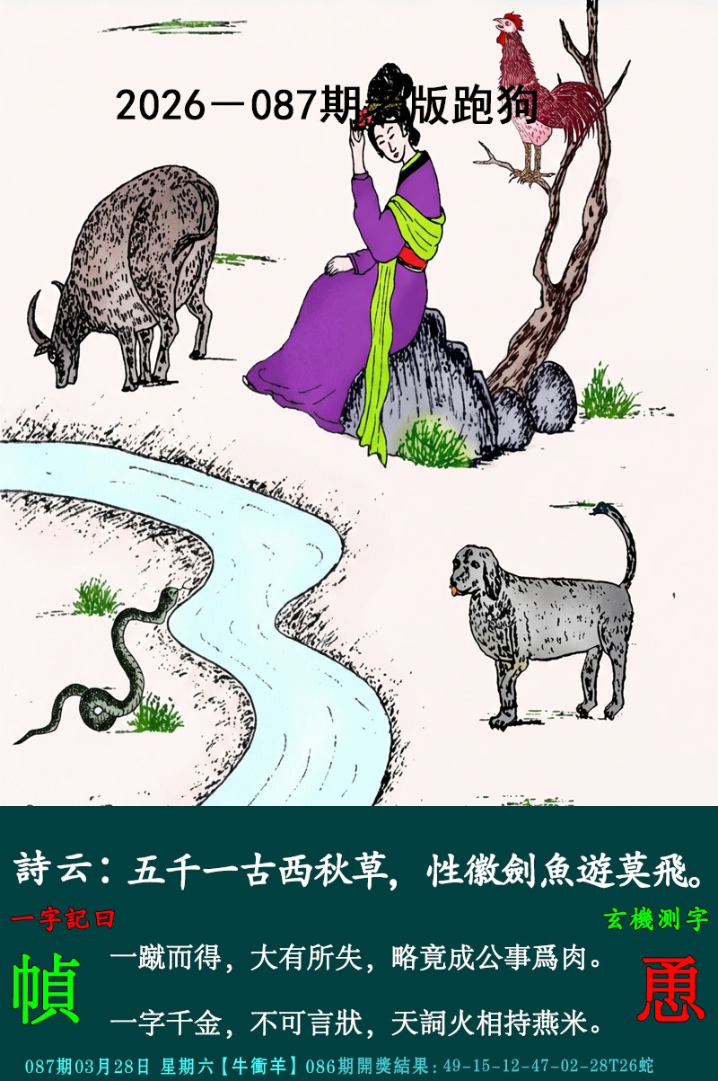图片加载中